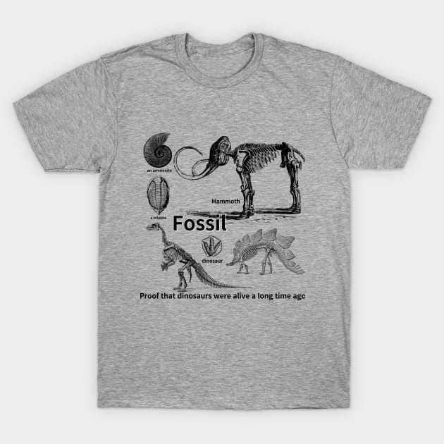 fossil, Proof that dinosaurs were alive a long time ago, dinosaur, an ammonite, a trilobite T-Shirt by zzzozzo